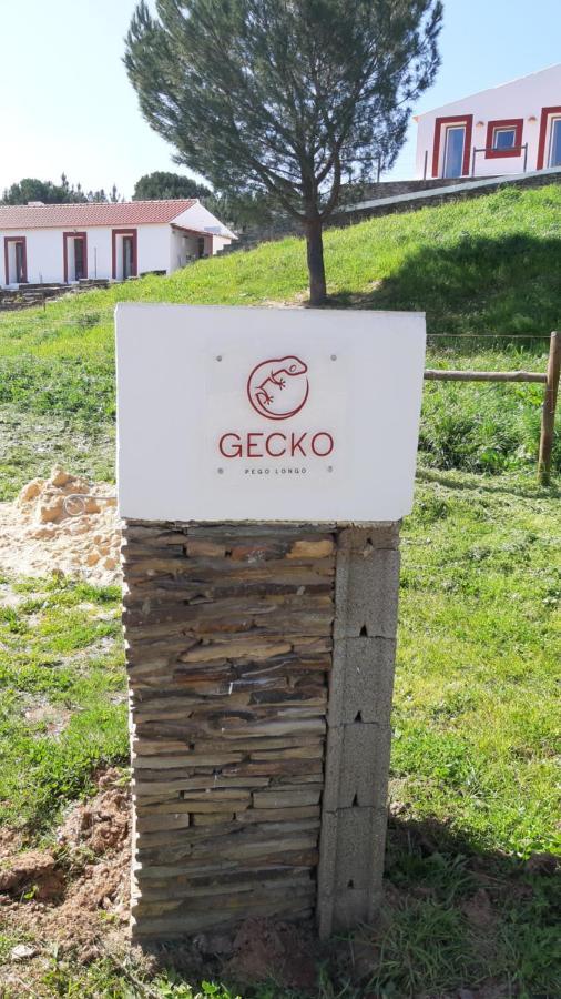 Gecko Pego Longo Villa São Luis Kültér fotó